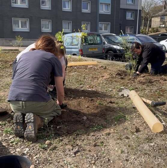 Tree planting on regent walk